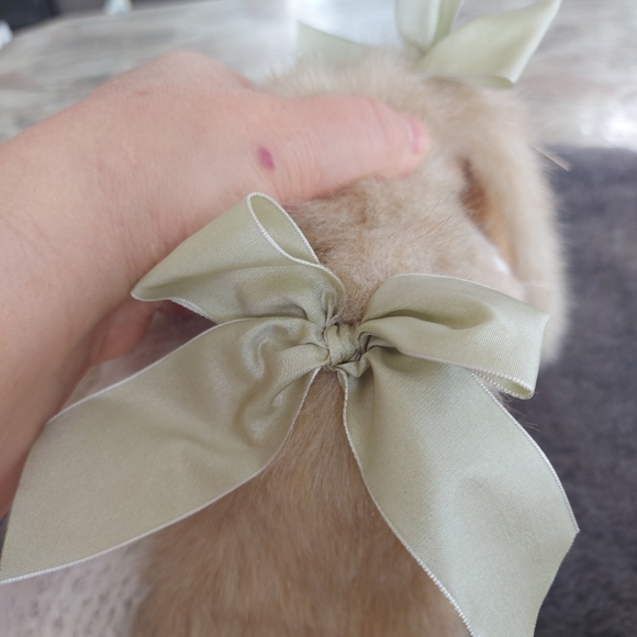 The bearington collection - Picture 11 of 14